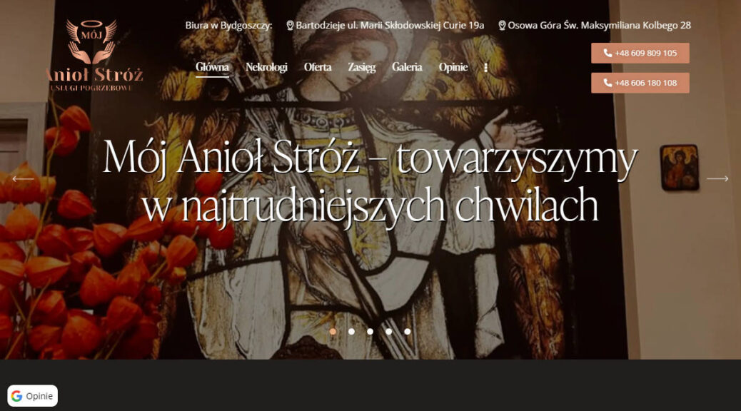 mojaniolstroz.pl - banner